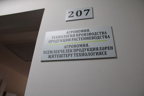 Көллият танымаслык булып үзгәргән (бик күп фото)