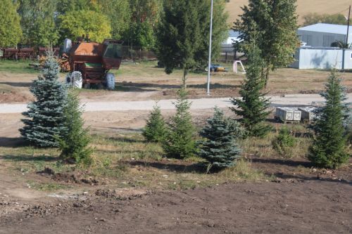 Көллият танымаслык булып үзгәргән (бик күп фото)