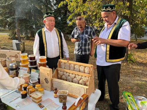 Балтачлылар бүген Казанны гөрләтә (+фото)