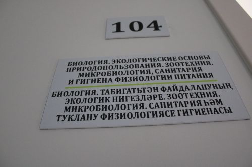 Көллият танымаслык булып үзгәргән (бик күп фото)