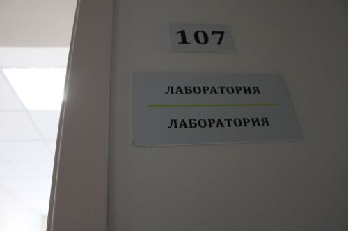 Көллият танымаслык булып үзгәргән (бик күп фото)
