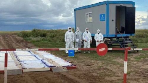 Балтач ветеринария берләшмәсе баш табибы халыкка мөрәҗәгать белән чыкты