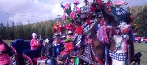 Арчада «Ат көне» узачак