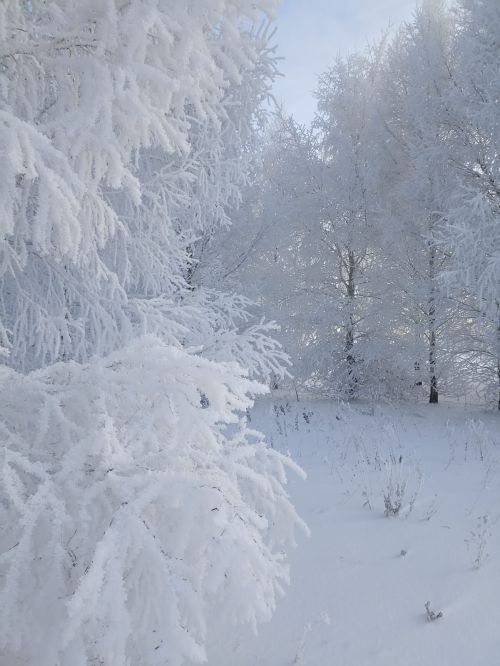 Пумйылтэм лымы шобыр...