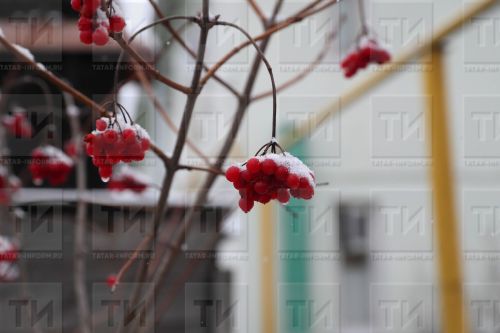 Ноябрь нинди, яз шундый килә, диләр... халык сынамышларына ышанасызмы?