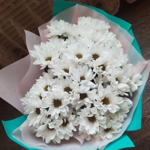 Балтачлылар хөрмәтләнде