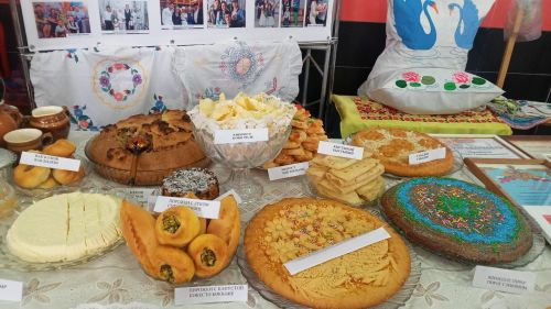 Бүген Балтачта «Без тарихта эзлебез» нәсел шәҗәрәсе республика конкурсының муниципаль этабы уза (фото)