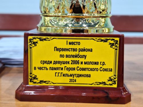 Балтачта Советлар Союзы Герое Г. Г. Гыйльметдинов истәлегенә волейбол буенча ярышлар узды (фото)