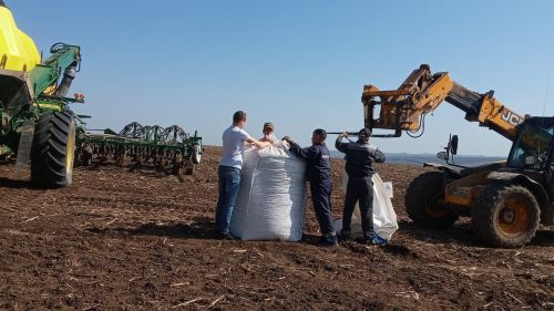 Көннәр матур торса, «Татарстан»лылар эшне ике атна эчендә төгәлләргә уйлый (фото, видео)