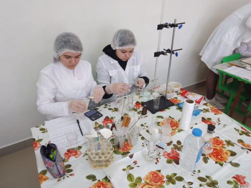 Балтач мәктәбендә VIII һөнәри осталык буенча чемпионат кысаларында осталарны ачыкладылар (фото)