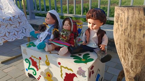 Борнаклылар бүген Шушма буен гөрләтте(фото)