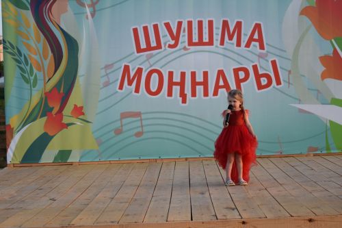 В гостях у Мало-Лызинского сельского поселения (+фото и видео)