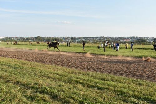 Балтачта Республика көненә багышланган ат чабышы үткәрелде (фото)