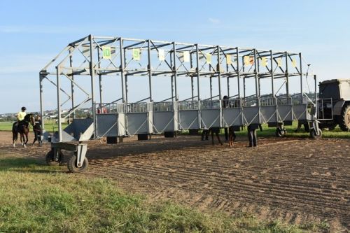 Балтачта Республика көненә багышланган ат чабышы үткәрелде (фото)