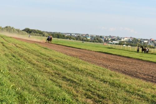 Балтачта Республика көненә багышланган ат чабышы үткәрелде (фото)