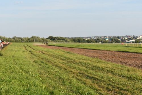 Балтачта Республика көненә багышланган ат чабышы үткәрелде (фото)