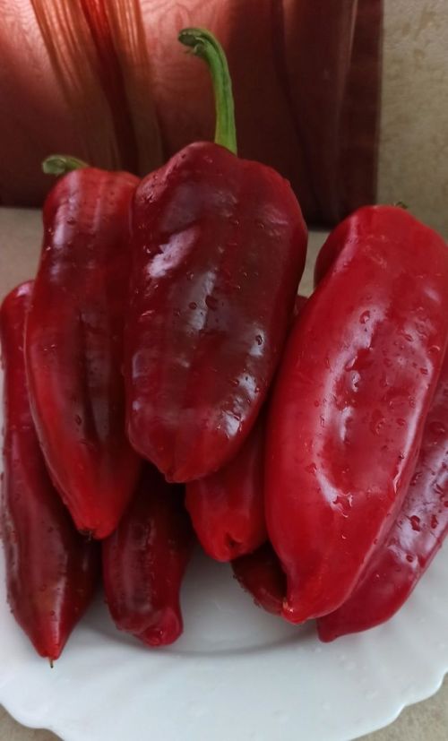 Борыч кызармаса нишләргә?