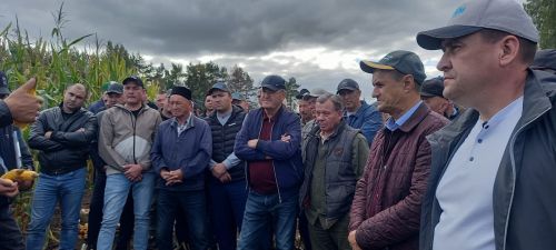 «Кызыл юл» хуҗалыгының кукуруз  тәҗрибә участогында семинар-киңәшмә бара (фото, видео)