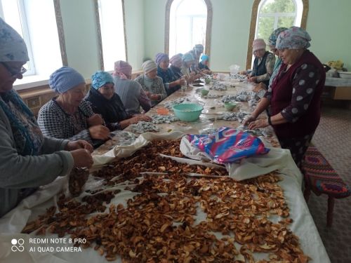 «Күрмиләр, «ишетмиләр», коткы таратып йөрмиләр