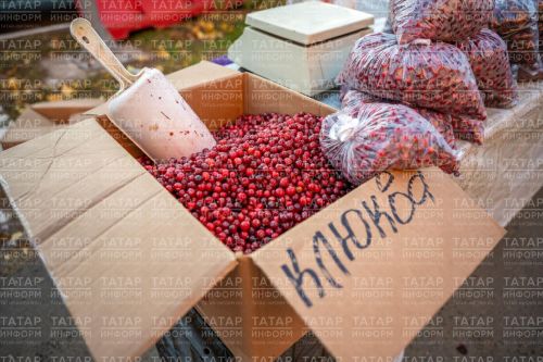 Кан басымын төшерә һәм йөрәкне ныгыта торган тәмлүшкә