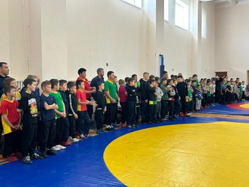 Бөрбашта теш табибы Рафил Галимуллин истәлегенә узган көрәш ярышына 87 яшь көрәшче килгән иде
