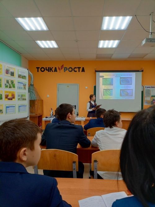 Нөнәгәр мәктәбендә  директор урынбасарлары өчен семинар узды