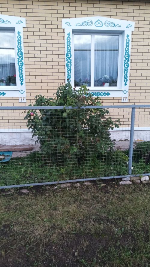 Бу вакытта хоккей уйный идек