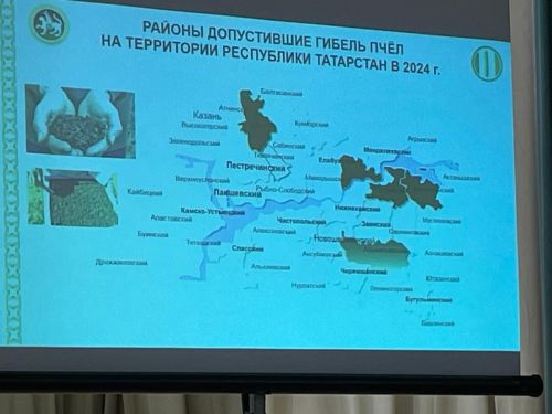 Бөрбашта умартачылар җыены узды