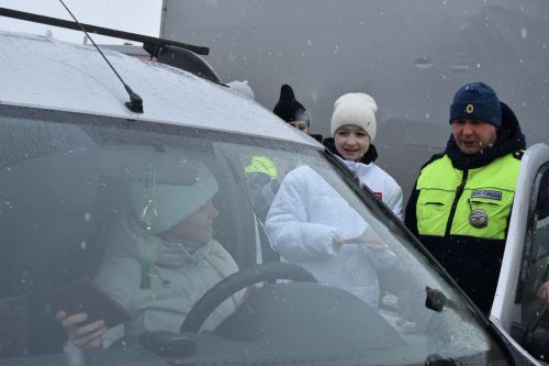 Балтачта автоледиларны котладылар