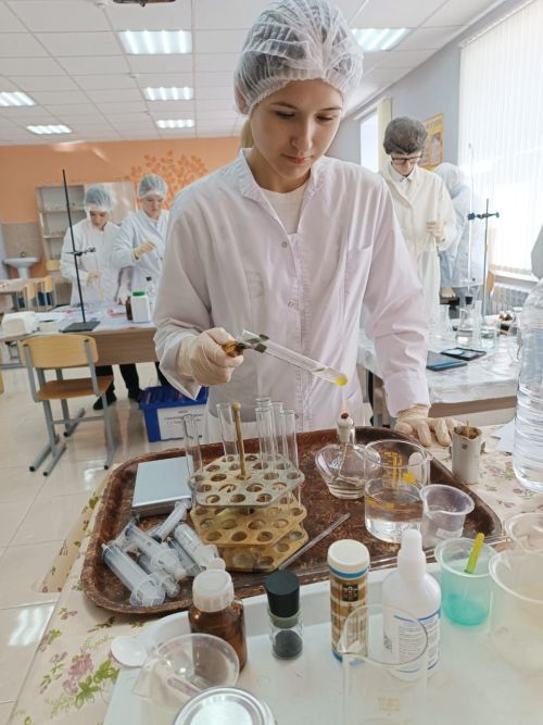 Балтачта «Профессионаллар» IX һөнәри осталык чемпионаты дәвам итә