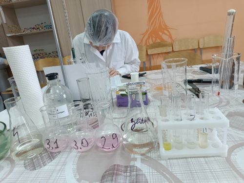 Балтачта «Профессионаллар» IX һөнәри осталык чемпионаты дәвам итә