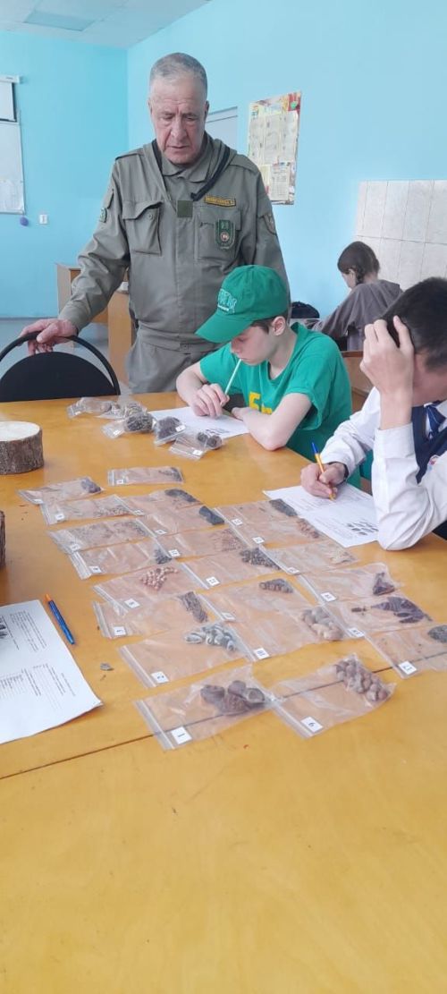 Балтачта «Профессионаллар» IX һөнәри осталык чемпионаты дәвам итә