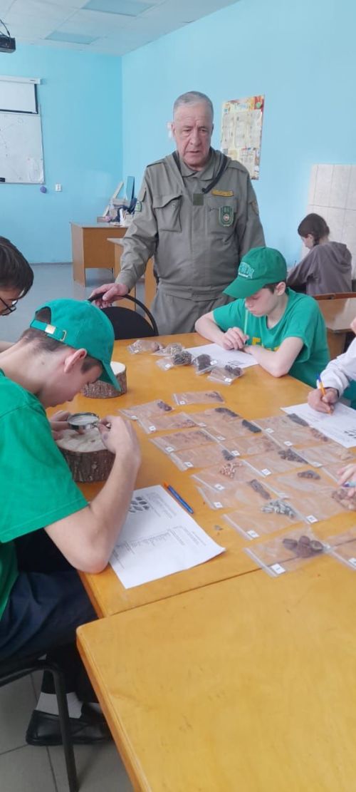 Балтачта «Профессионаллар» IX һөнәри осталык чемпионаты дәвам итә