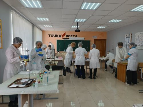 Балтачта «Профессионаллар» IX һөнәри осталык чемпионаты дәвам итә