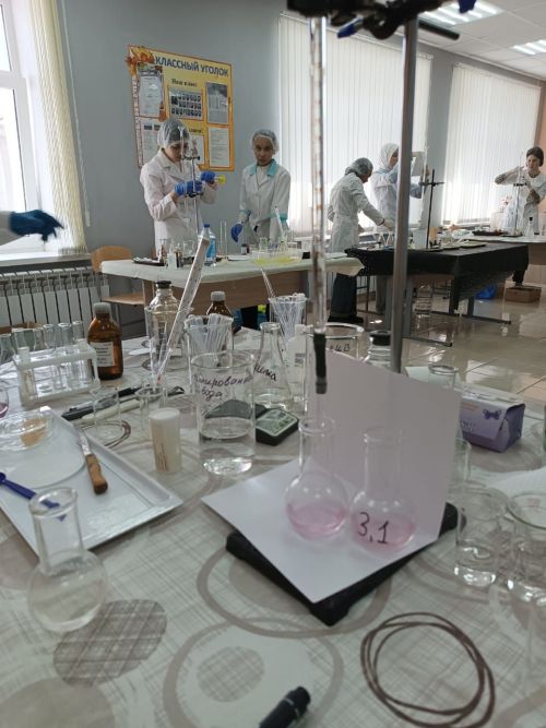Балтачта «Профессионаллар» IX һөнәри осталык чемпионаты дәвам итә