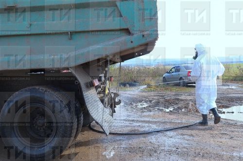 Котыру чире сәбәпле, фермага карантин кертелгән