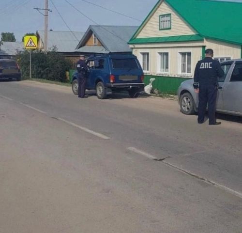 Инспекторлар качарга омтылган 15 яшьлек үсмерне тотканнар