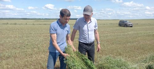 Алмаз Нәбиев терлек азыгы хәзерләү кампаниясе кысаларында үткәрелүче конкурсның икенче атна җиңүчесе булып танылды