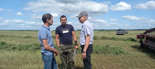 Алмаз Нәбиев терлек азыгы хәзерләү кампаниясе кысаларында үткәрелүче конкурсның икенче атна җиңүчесе булып танылды