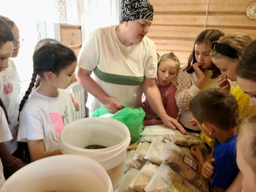 Нөнәгәр укучылары волонтер Алсу Шәфигуллинада кунакта булды