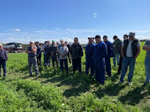 Балтачта комбайннар парады башланды