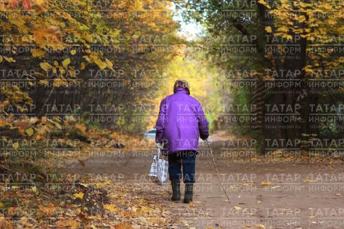 «Киленгә сүз әйтеп кара син, тетмәңне тетә. Улым да шундыйга әйләнде...»