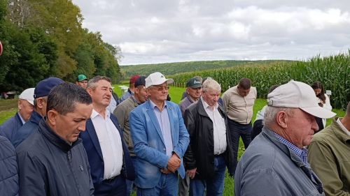 Бүген “Кызыл юл” җәмгыяте базасында кукуруз гибридлары белән таныштыру семинары узды