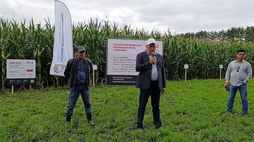 Бүген “Кызыл юл” җәмгыяте базасында кукуруз гибридлары белән таныштыру семинары узды