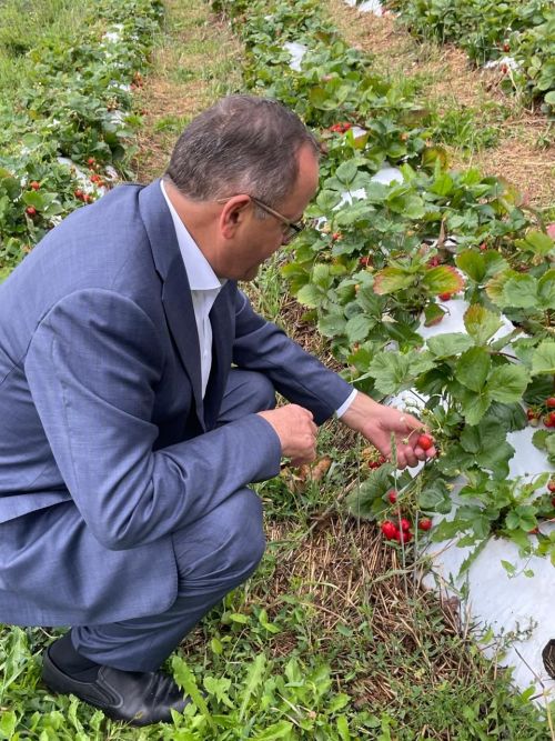 Балтачта эшлекле сәфәр белән Татпотребсоюз идарәсе рәисе килде