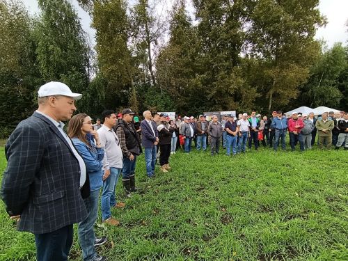 Бүген “Кызыл юл” җәмгыяте базасында кукуруз гибридлары белән таныштыру семинары узды
