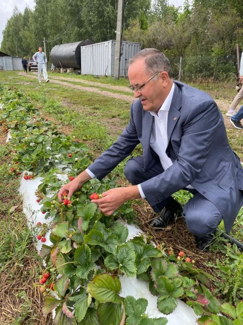 Балтачта эшлекле сәфәр белән Татпотребсоюз идарәсе рәисе килде