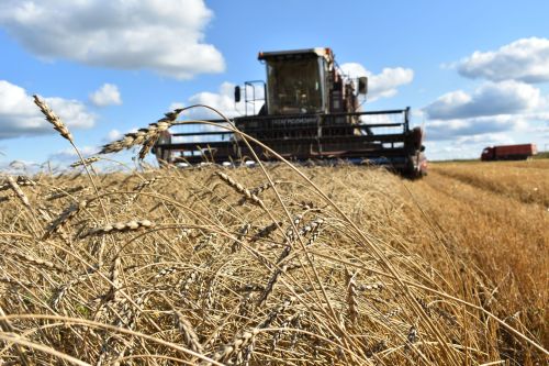 Бүген чираттагы вымпел ияләрен бүләкләделәр