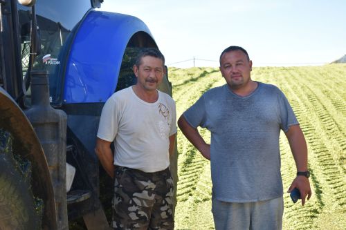 Кыр патшасына да чират җитте