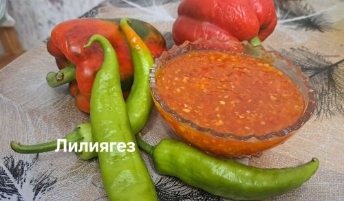 Лилия Әскаровадан әчкелтем-баллы соус рецепты